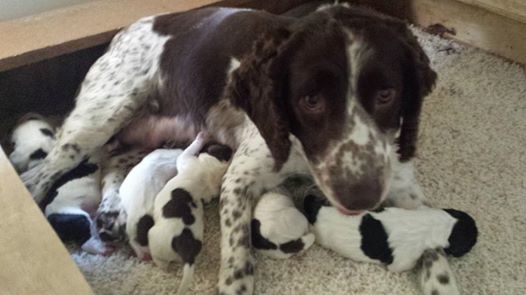 1456696 599600700105968 1247932089 n - 