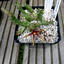 Orbea wismanii 022a - cactus