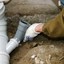 plumber mosman - Reliable Plumber Mosman