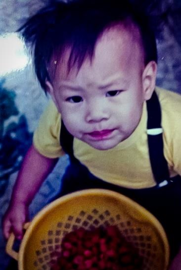 PhotoCompare1 zane Picture Box