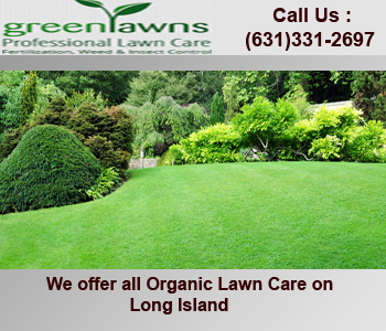 1 Lawn Care Long Island