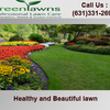 Lawn Care Long Island - Lawn Care Long Island