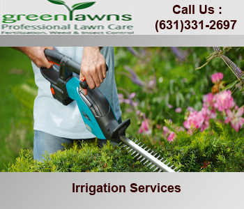 Lawn Care Long Island Lawn Care Long Island