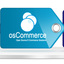 Custom Ecommerce Developmen... - Ecommerce Solutions