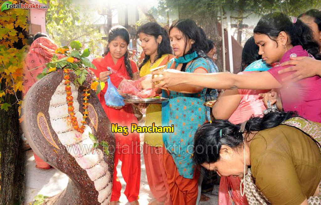 naag Panchmi Picture Box
