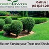 Lawn Care Long Island - Lawn Care Long Island 2