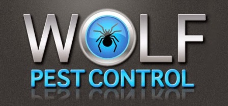 Ant Pest Control Wolf Pest Control-West Columbia