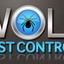 Ant Pest Control - Wolf Pest Control-West Columbia