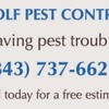 Spider Pest Control - Wolf Pest Control-North Cha...