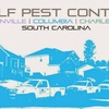 Ant Pest Control - Wolf Pest Control-North Cha...