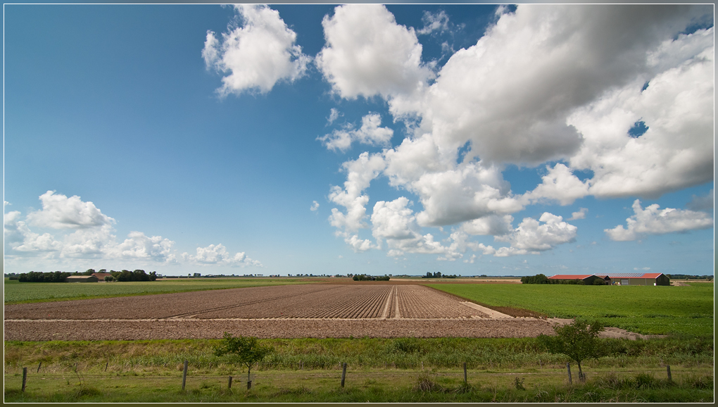 DSC 8016 Het vlakke Schouwse land kader - 