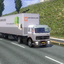 ets2 00169 - prive skin ets2