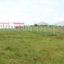 Farm Plot in Hinjewadi Pune - Farm House Plots in Hinjewadi Pune