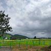 NA Plots in Pune - Farm House Plots in Hinjewa...