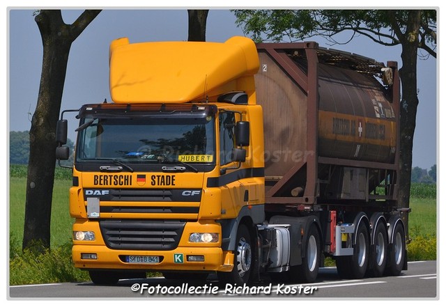 Bertschi STD B 841-BorderMaker Richard