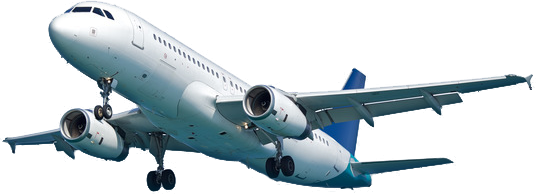 plane1 Picture Box