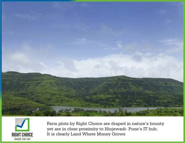 farm plots in hinjewadi pune Developed plots in Hinjewadi Pune