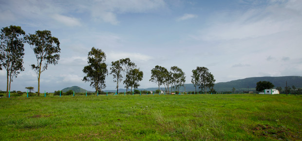NA plots near hinjewadi Mount View