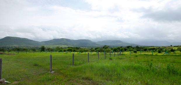 plots for sale in pune Mount View