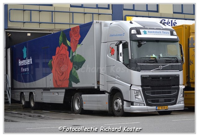 Heemskerk fleurs 37-BDB-6 (4)-BorderMaker Richard