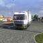 ets2 00262 - prive skin ets2