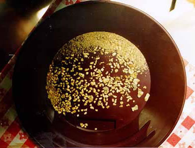 gold pan on table jpg jpg Picture Box