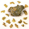 goldnuggetswithrock6x6 jpg jpg - Picture Box