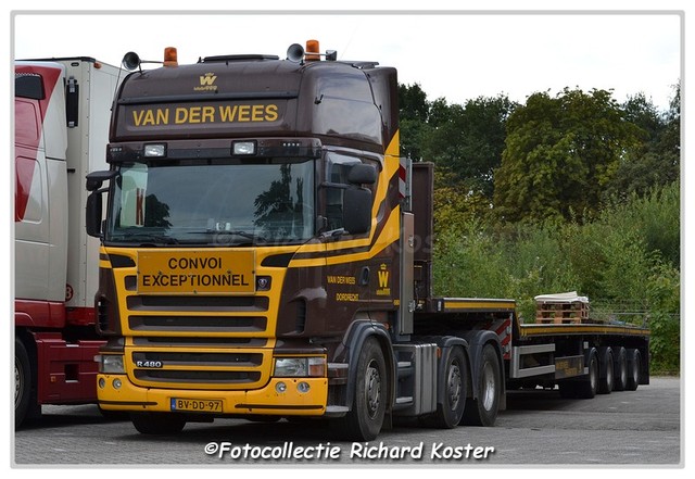 Wees van BV-DD-97 (3)-BorderMaker Richard