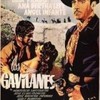 Los gavilanes-638273364-main - Picture Box