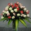 North Miami Beach FL Floris... - Florist North Miami Beach F...