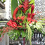 Floral Arrangement North Mi... - Florist North Miami Beach FL | 305-787-0700