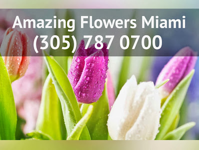 Florist North Miami Beach FL | 305-787-0700 Florist North Miami Beach FL | 305-787-0700