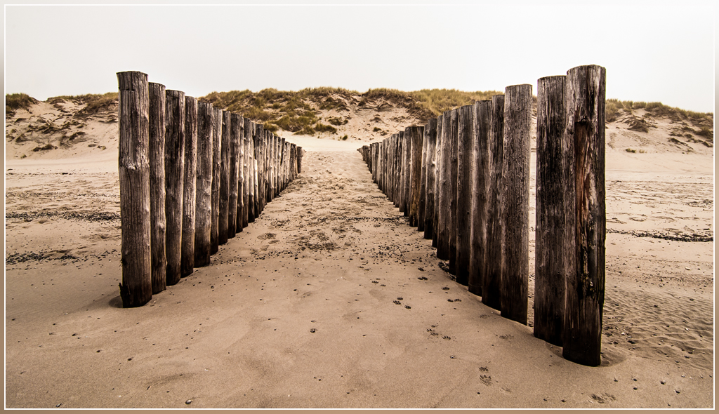 DSC 8212 Paaltjes net andersom - 