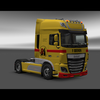 ets2 Daf Euro6 van Reenen T... - prive skin ets2