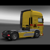 ets2 Daf Euro6 van Reenen T... - prive skin ets2