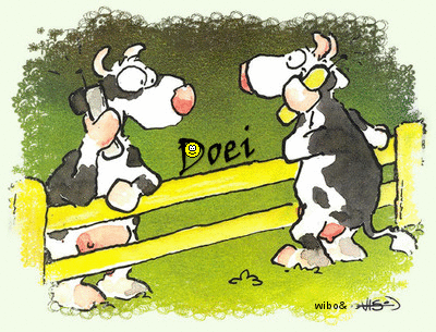 doei+vis-koeien - 