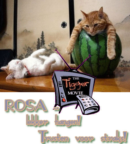 fijne avond+trusten+katten - 