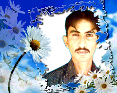 Meharali7@Frame-Flowers-422x336 Mehar Ali Jakhro