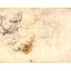 w-60-sketch-of-a-male-head-... - LOST MASTERPIECE (Renaissance Painting Discovery) A Roman Court