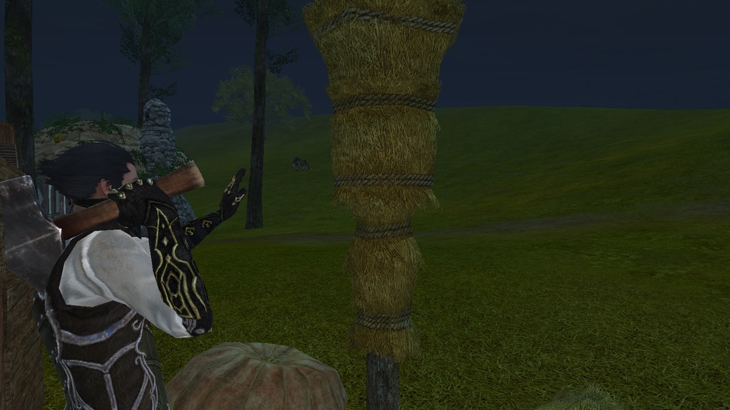 ScreenShot0269 stuff