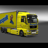 ets2 Man TGX BDF + Tandem N... - prive skin ets2