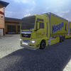 ets2 Man TGX BDF + Tandem N... - prive skin ets2