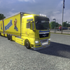 ets2 Man TGX BDF + Tandem N... - prive skin ets2