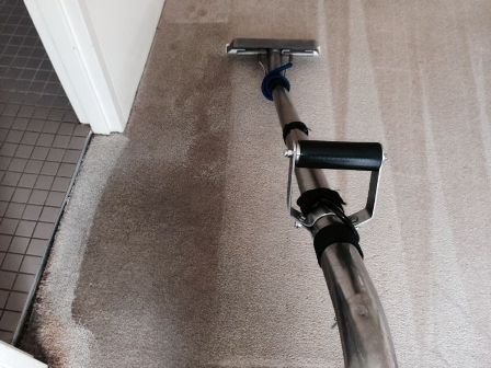 Adam's Carpet Cleaning (1) Adam's Carpet Cleaning