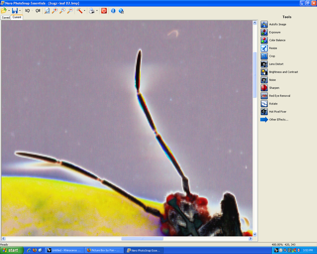 bugz+leaf 03 Picture Box
