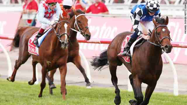 141104004056-melbourne-cup-protectionist-horizonta read news