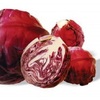 redcabbage1-300x183 - read news