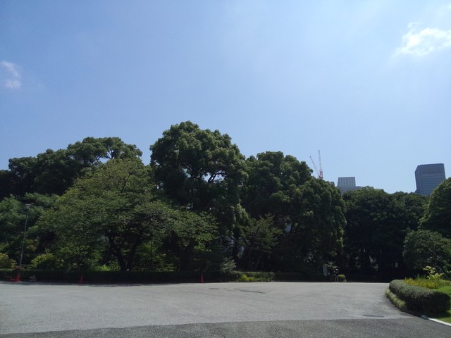 Image00043 - JAPAN6