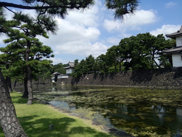 Image00053 - JAPAN6