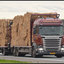 DSC 0254-BorderMaker - 12-11-2014